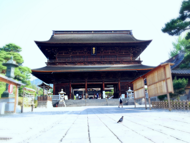 一生に一度は善光寺詣り，というわけで夏の早朝に善光寺に参拝してきた【長野の旅#1】