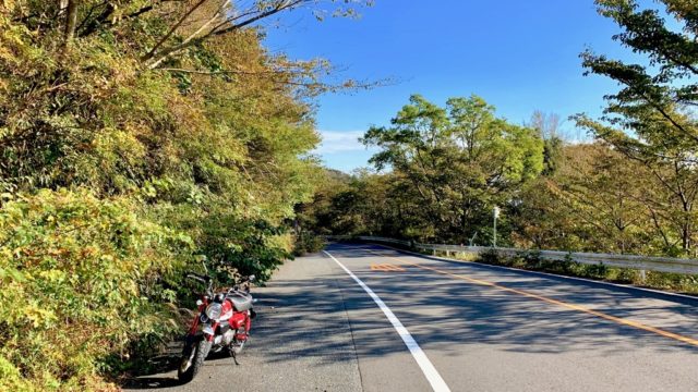 モンキー125とゆく旅 #9 椿ライン（神奈川県道75号湯河原箱根仙石原線）